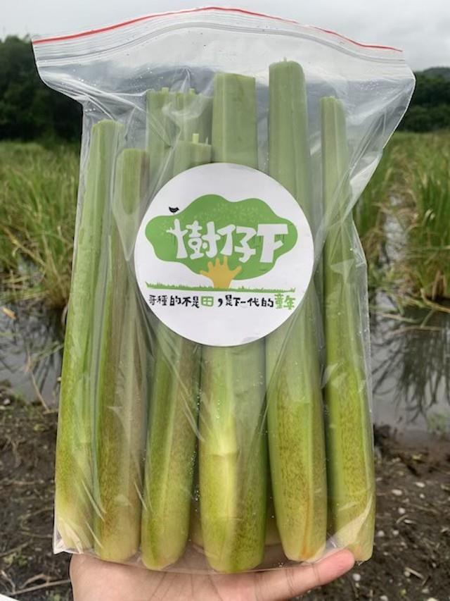赤殼茭白筍(7斤含運),樹仔下