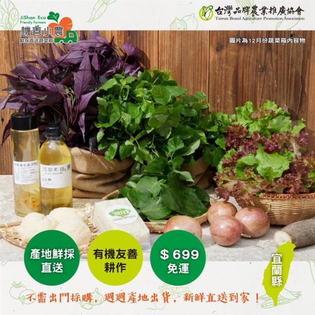 【機善小農】蔬菜箱(4箱),樹仔下
