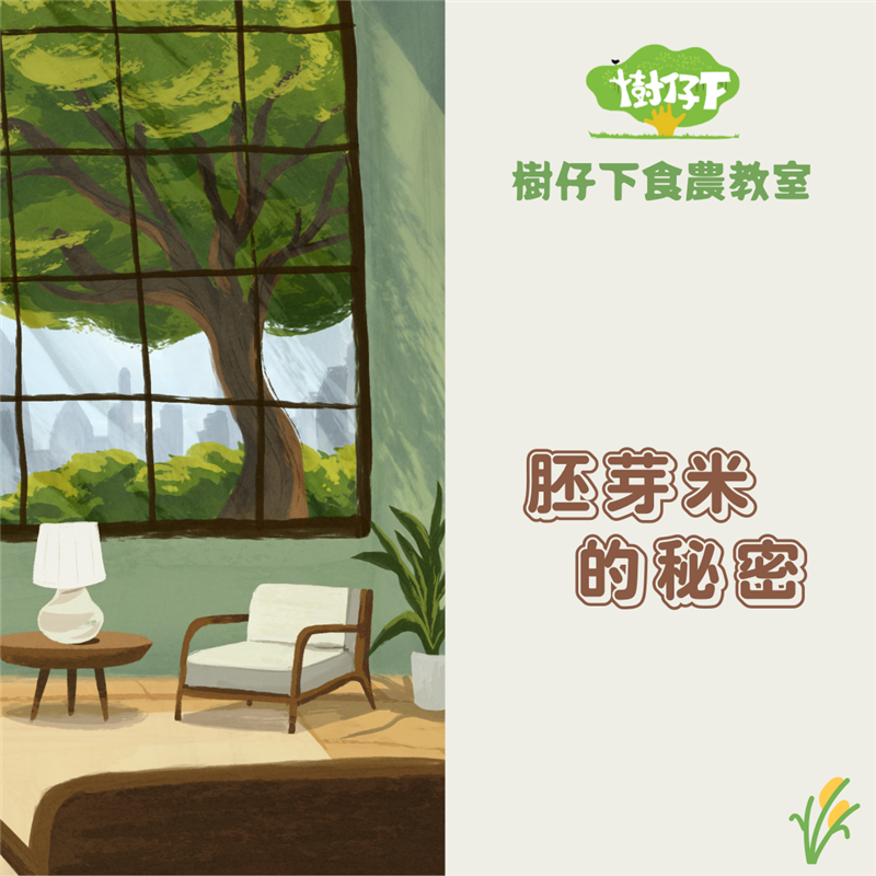 【樹仔下食農教室】胚芽米的秘密