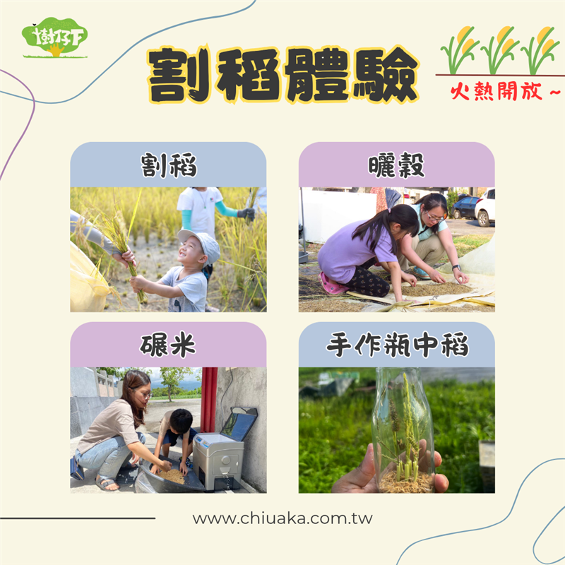 【2025割稻體驗開放報名】