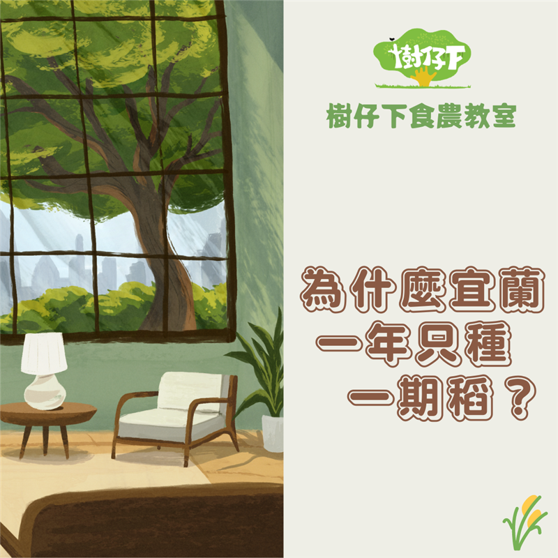 樹仔下,【樹仔下食農教室】為什麼宜蘭一年只種一期稻？