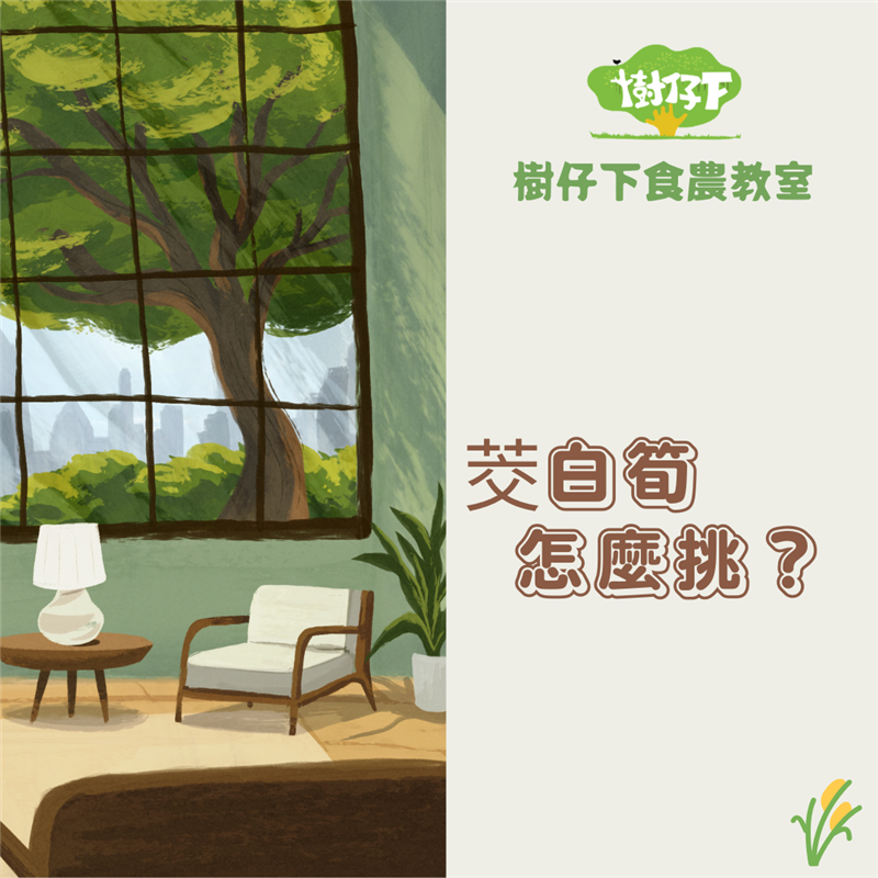 樹仔下,【樹仔下食農教室】茭白筍怎麼挑？