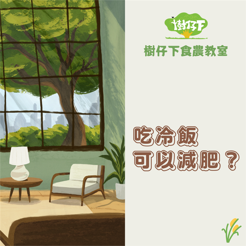 樹仔下,【樹仔下食農教室】吃冷飯可以減肥？