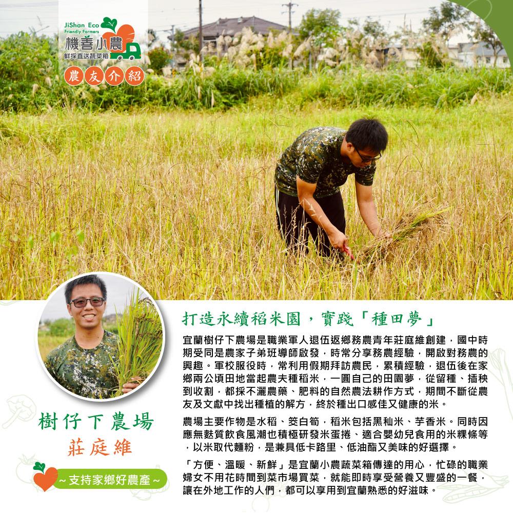 樹仔下